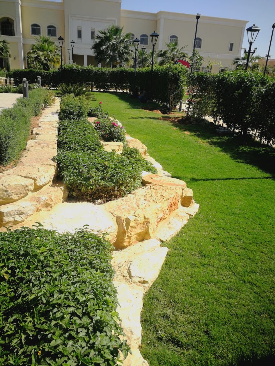 Garden 1