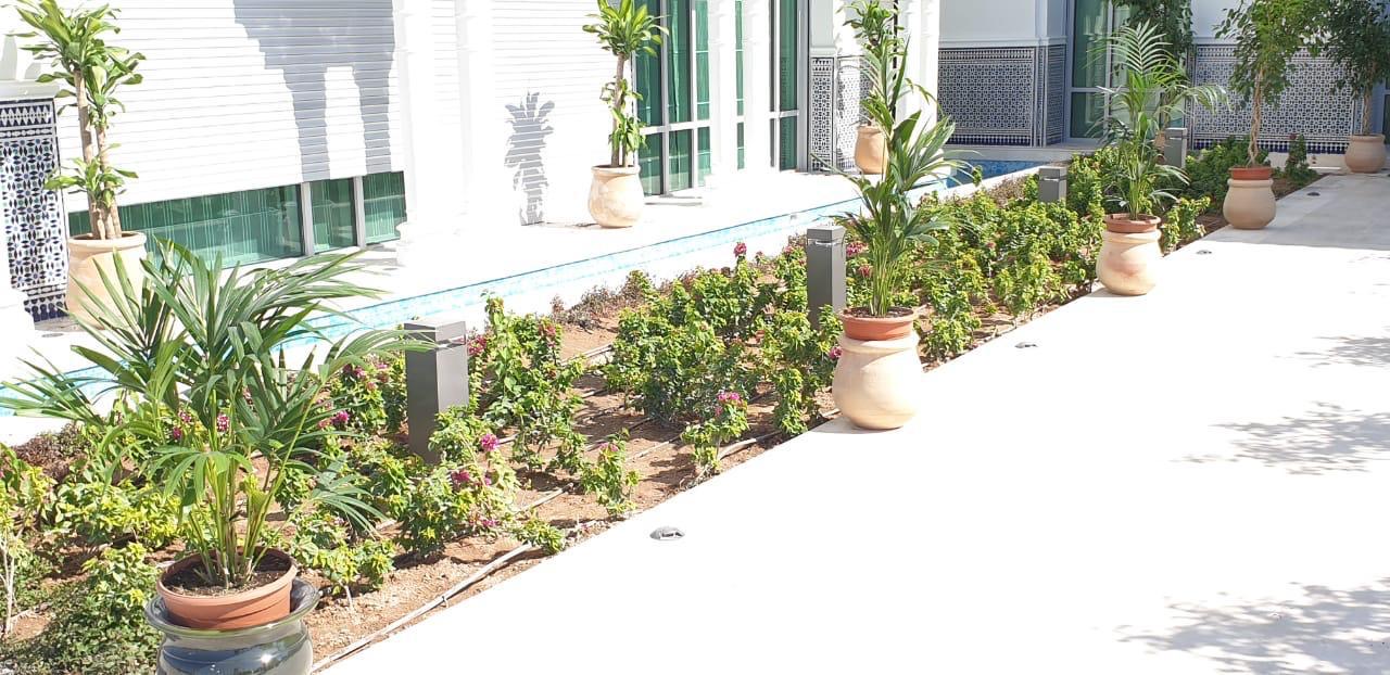 Pool garden