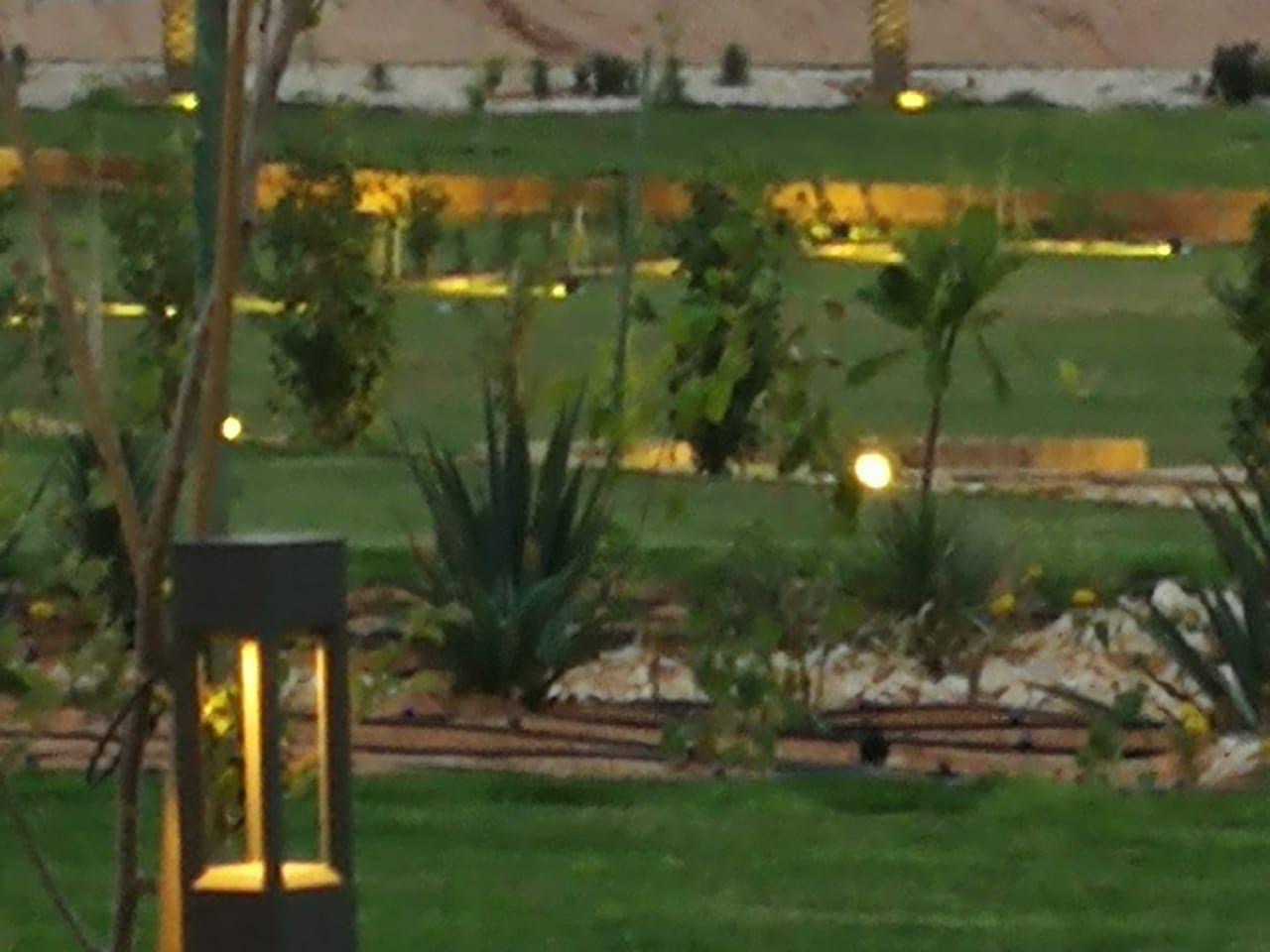 Garden lighting
