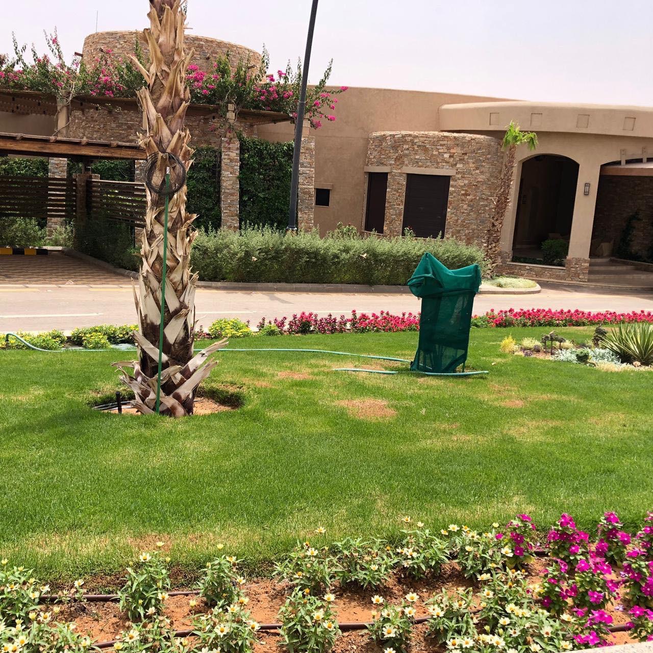 Garden with flowers